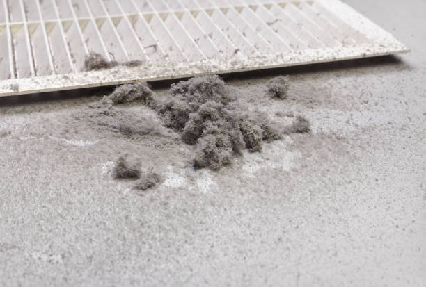 Best Commercial Air Duct Cleaning  in Tucumcari, NM