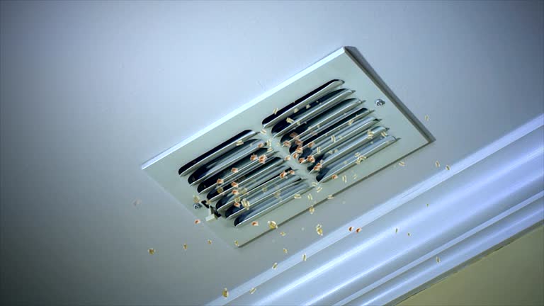 Best Home Air Vent Cleaning  in Tucumcari, NM